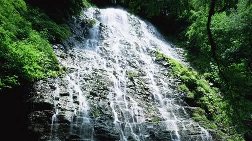 电子高标准可靠性